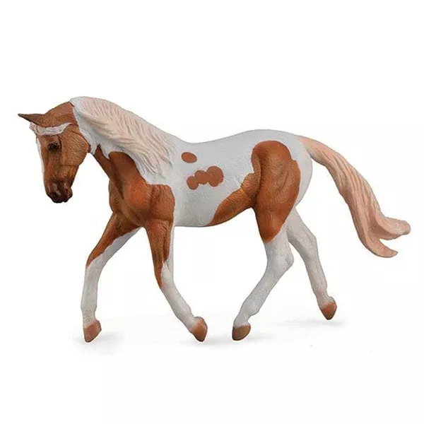 Palomino Pinto Mare